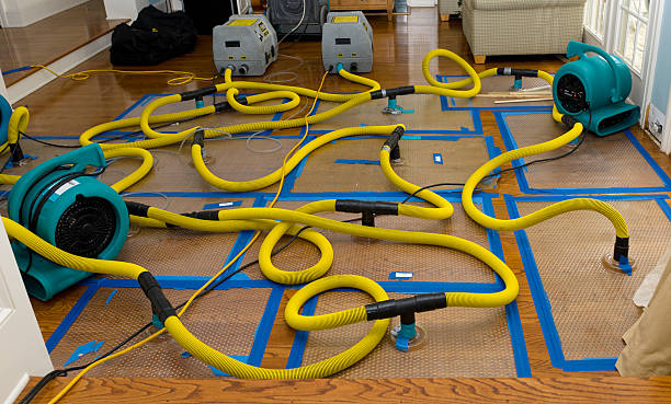 Professional Structural Drying And Dehumidification technician working in Eureka, KS